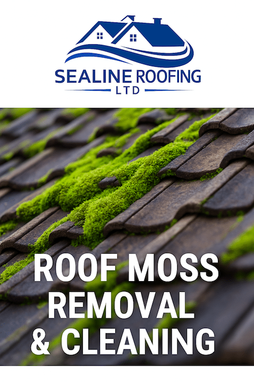 Why Roof Cleaning Improves Kerb Appeal and Roof Lifespan in Stourport on Severn